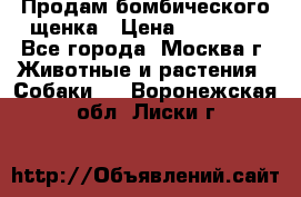Продам бомбического щенка › Цена ­ 30 000 - Все города, Москва г. Животные и растения » Собаки   . Воронежская обл.,Лиски г.